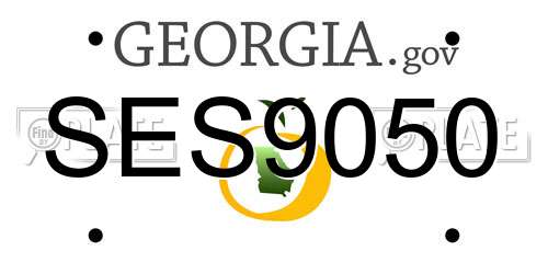 SES9050 Georgia License Plate