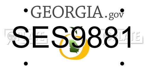 SES9881 Georgia License Plate