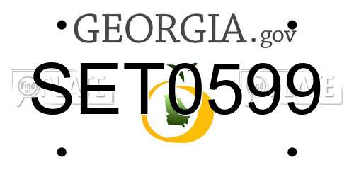 SET0599 Georgia License Plate