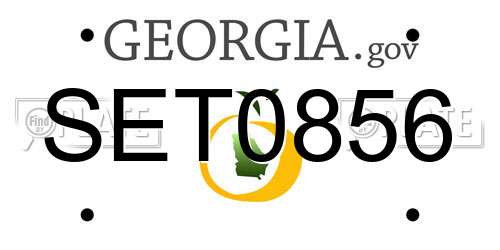 SET0856 Georgia License Plate