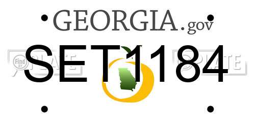 SET1184 Georgia License Plate