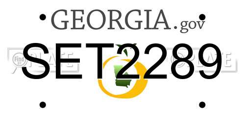 SET2289 Georgia License Plate
