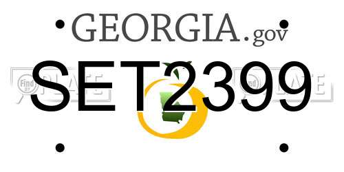 SET2399 Georgia License Plate