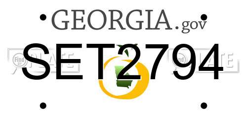 SET2794 Georgia License Plate