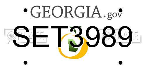 SET3989 Georgia License Plate
