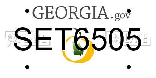 SET6505 Georgia License Plate