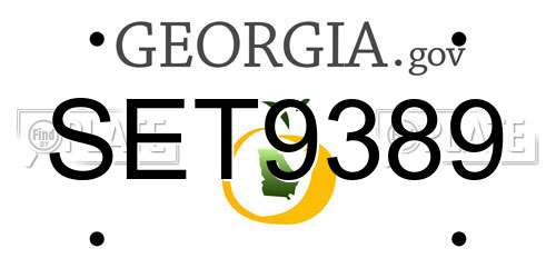 SET9389 Georgia License Plate