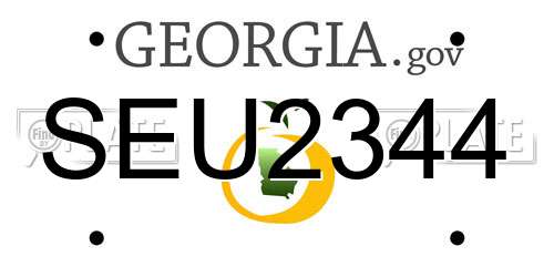 SEU2344 Georgia License Plate