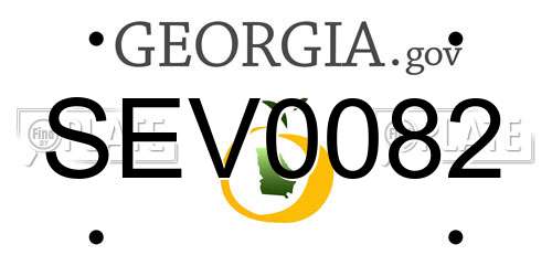 SEV0082 Georgia License Plate