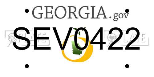 SEV0422 Georgia License Plate