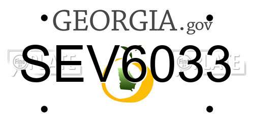 SEV6033 Georgia License Plate