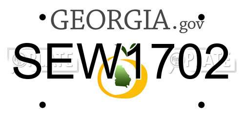 SEW1702 Georgia License Plate