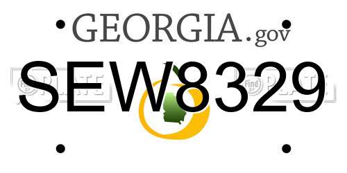 SEW8329 Georgia License Plate