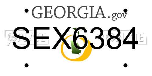SEX6384 Georgia License Plate