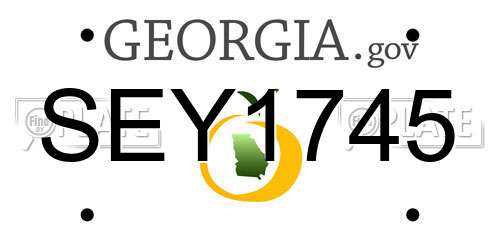SEY1745 Georgia License Plate
