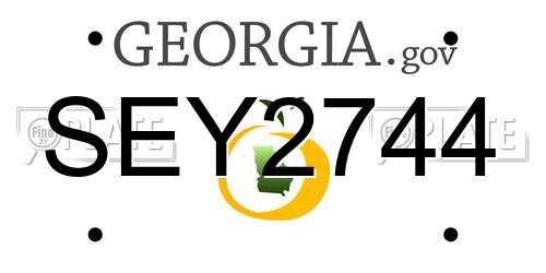 SEY2744 Georgia License Plate