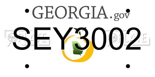 SEY3002 Georgia License Plate
