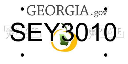 SEY3010 Georgia License Plate
