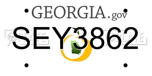SEY3862 Georgia License Plate
