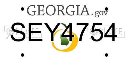 SEY4754 Georgia License Plate