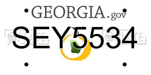 SEY5534 Georgia License Plate