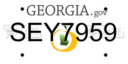 SEY7959 Georgia License Plate