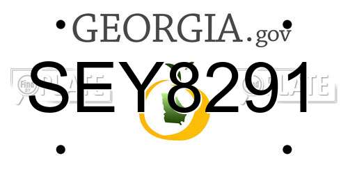 SEY8291 Georgia License Plate
