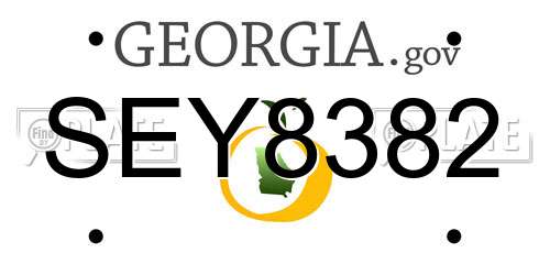 SEY8382 Georgia License Plate