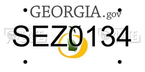 SEZ0134 Georgia License Plate