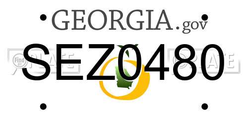 SEZ0480 Georgia License Plate