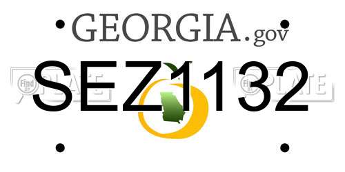 SEZ1132 Georgia License Plate