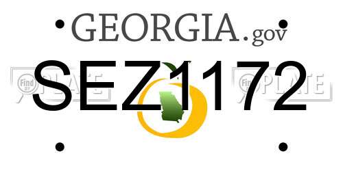 SEZ1172 Georgia License Plate