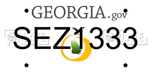 SEZ1333 Georgia License Plate
