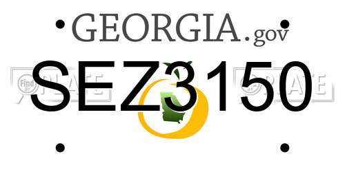 SEZ3150 Georgia License Plate