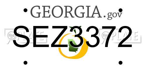 SEZ3372 Georgia License Plate