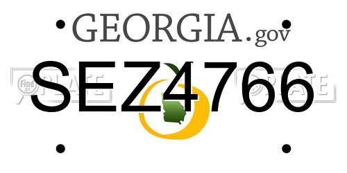 SEZ4766 Georgia License Plate