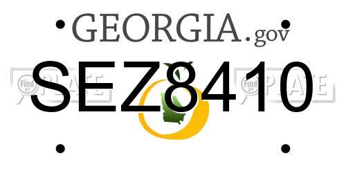 SEZ8410 Georgia License Plate