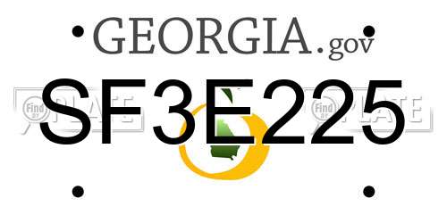 SF3E225 Georgia License Plate