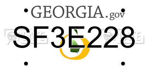 SF3E228 Georgia License Plate