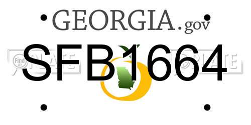 SFB1664 Georgia License Plate