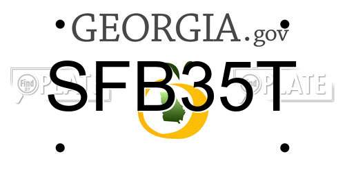 SFB35T Georgia License Plate