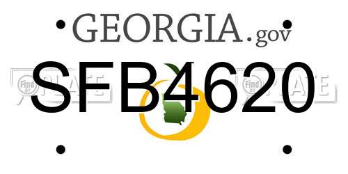 SFB4620 Georgia License Plate