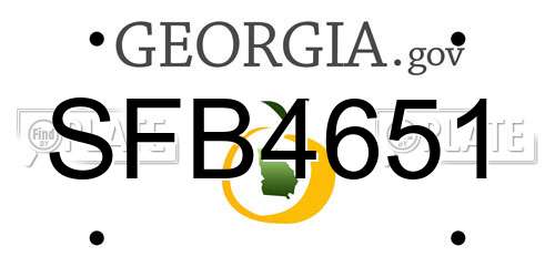SFB4651 Georgia License Plate
