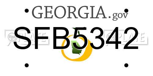 SFB5342 Georgia License Plate