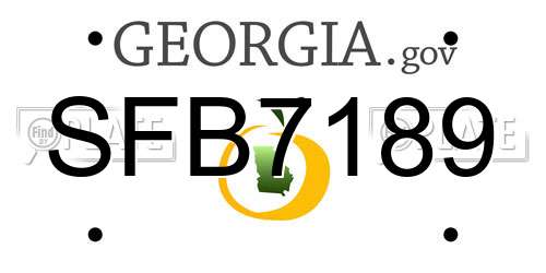 SFB7189 Georgia License Plate