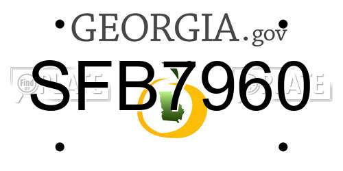 SFB7960 Georgia License Plate