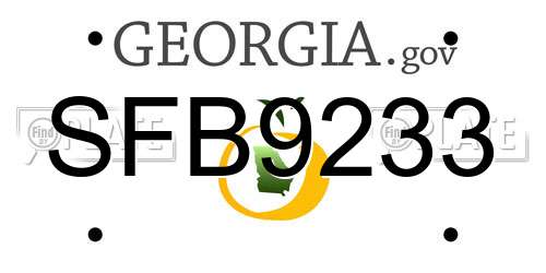 SFB9233 Georgia License Plate