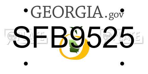 SFB9525 Georgia License Plate