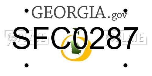 SFC0287 Georgia License Plate