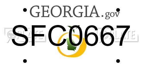 SFC0667 Georgia License Plate